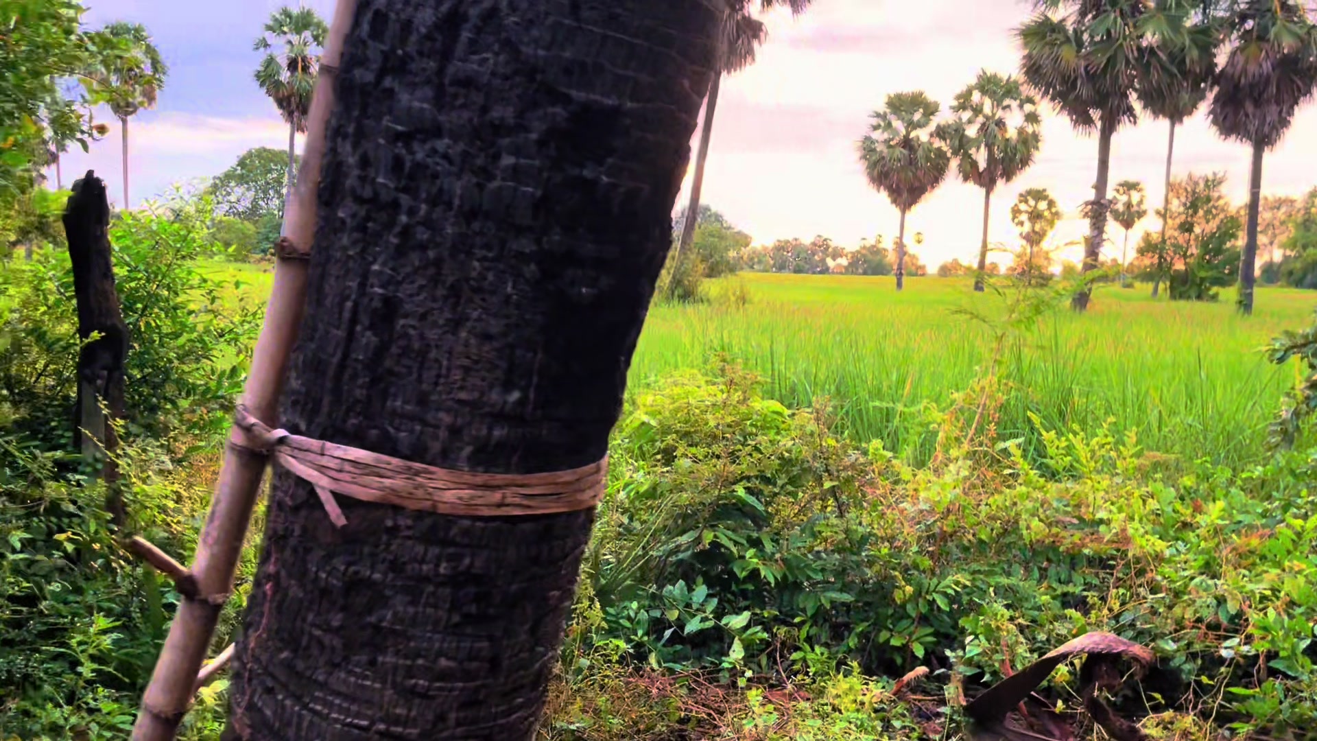 @Na k-វណ្ណៈ
