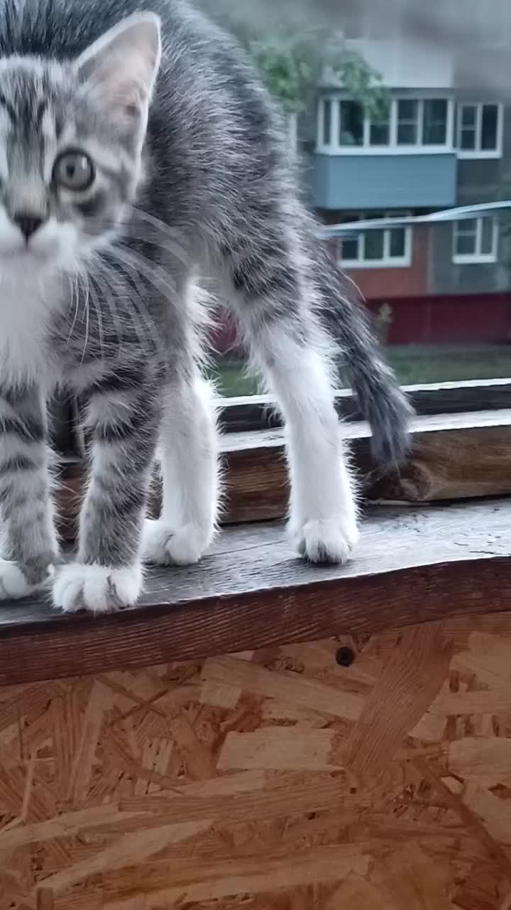 @Светла❤️