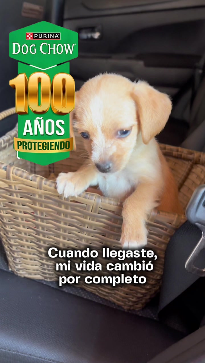 @ElSamu Oficial
