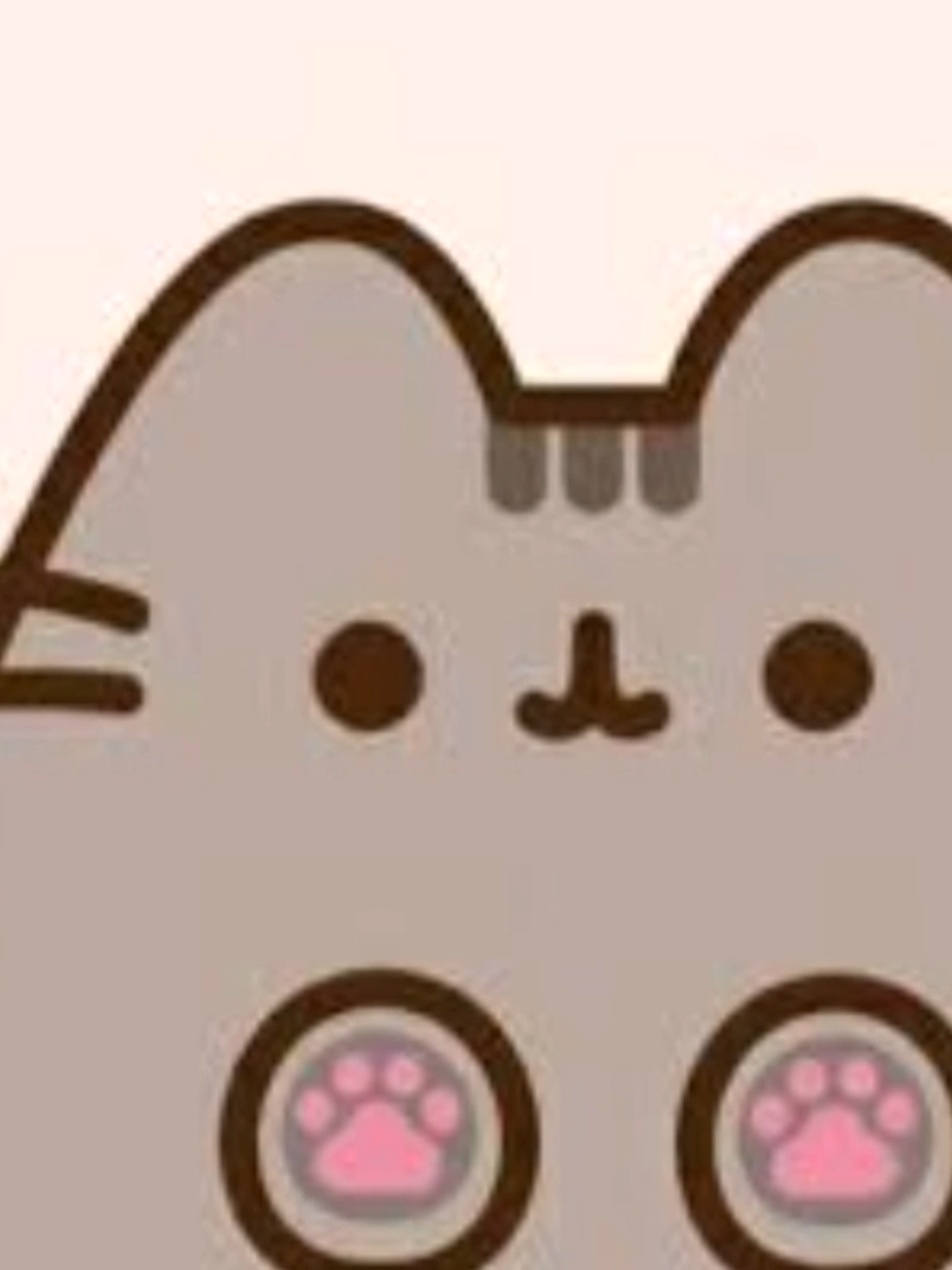 @Mr kittens 🇲🇽
