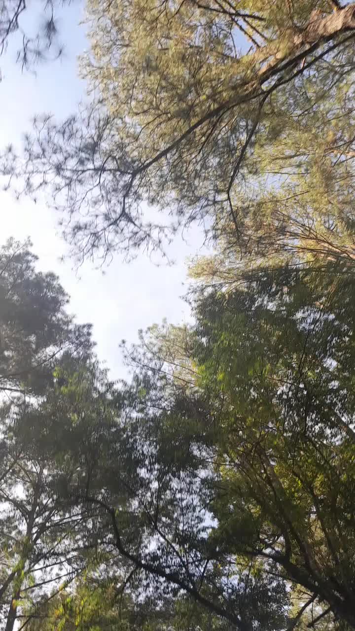 @jiminnuna26