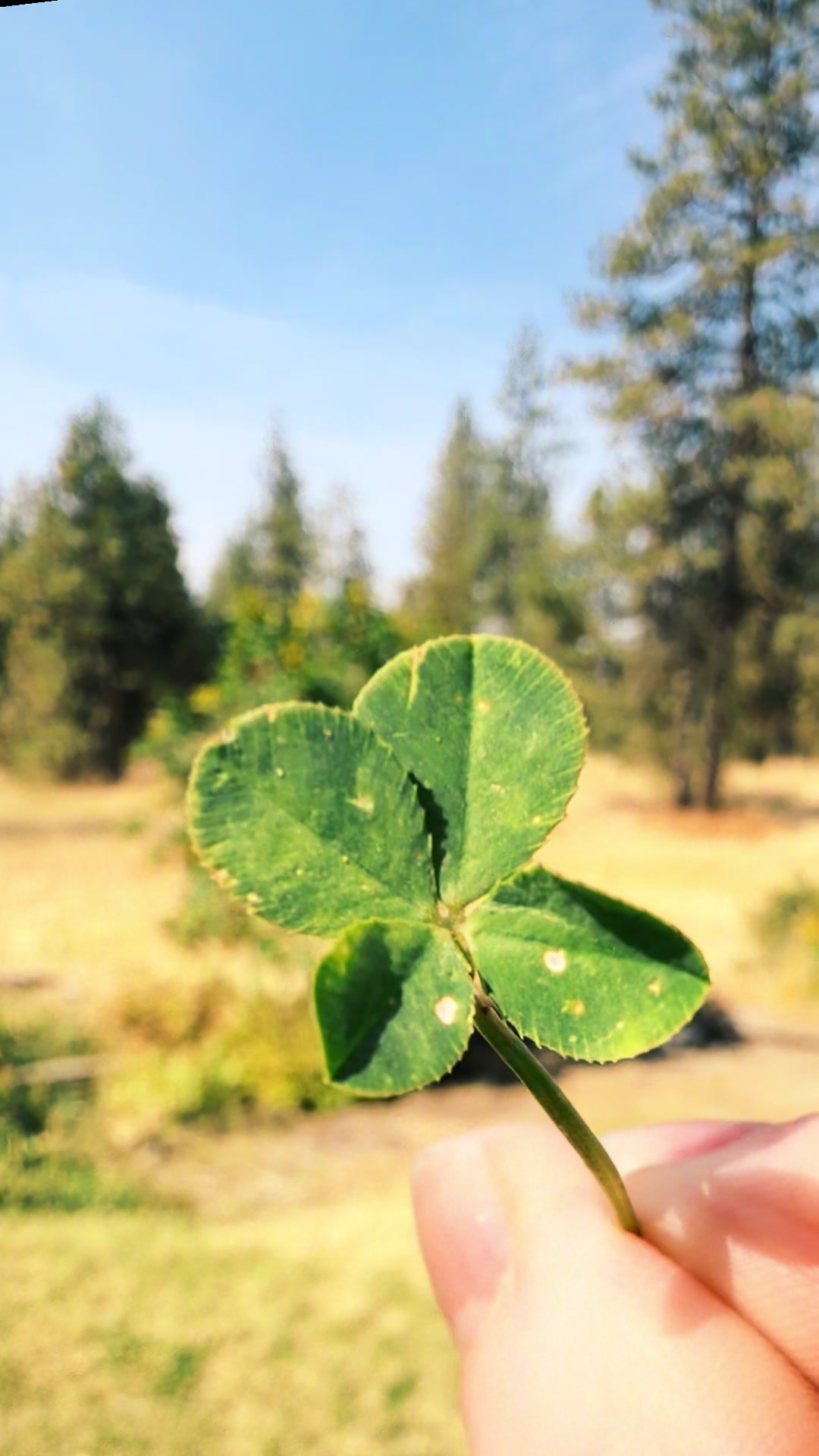 @Britt🍀