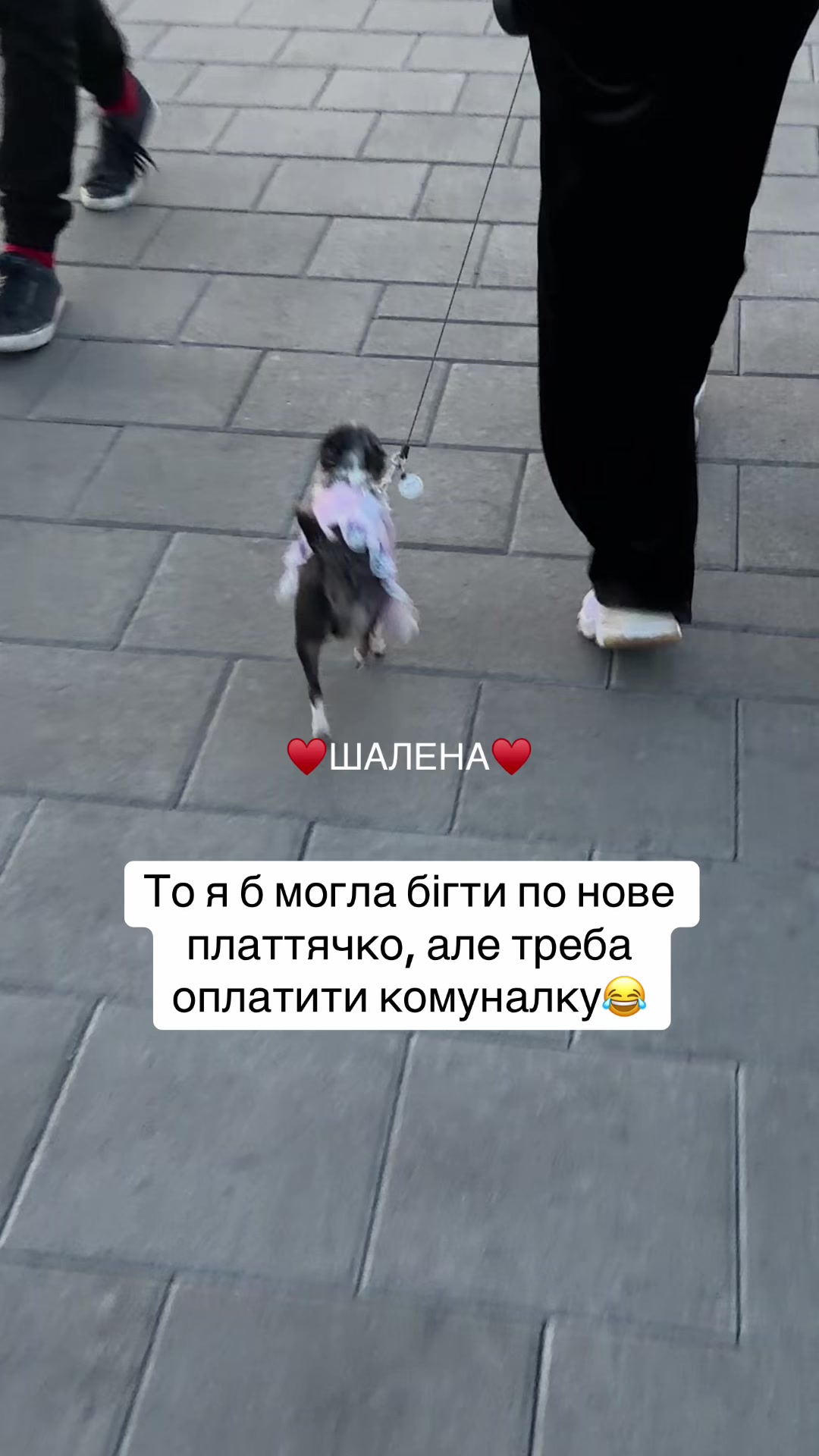 @♥️ШАЛЕНА♥️