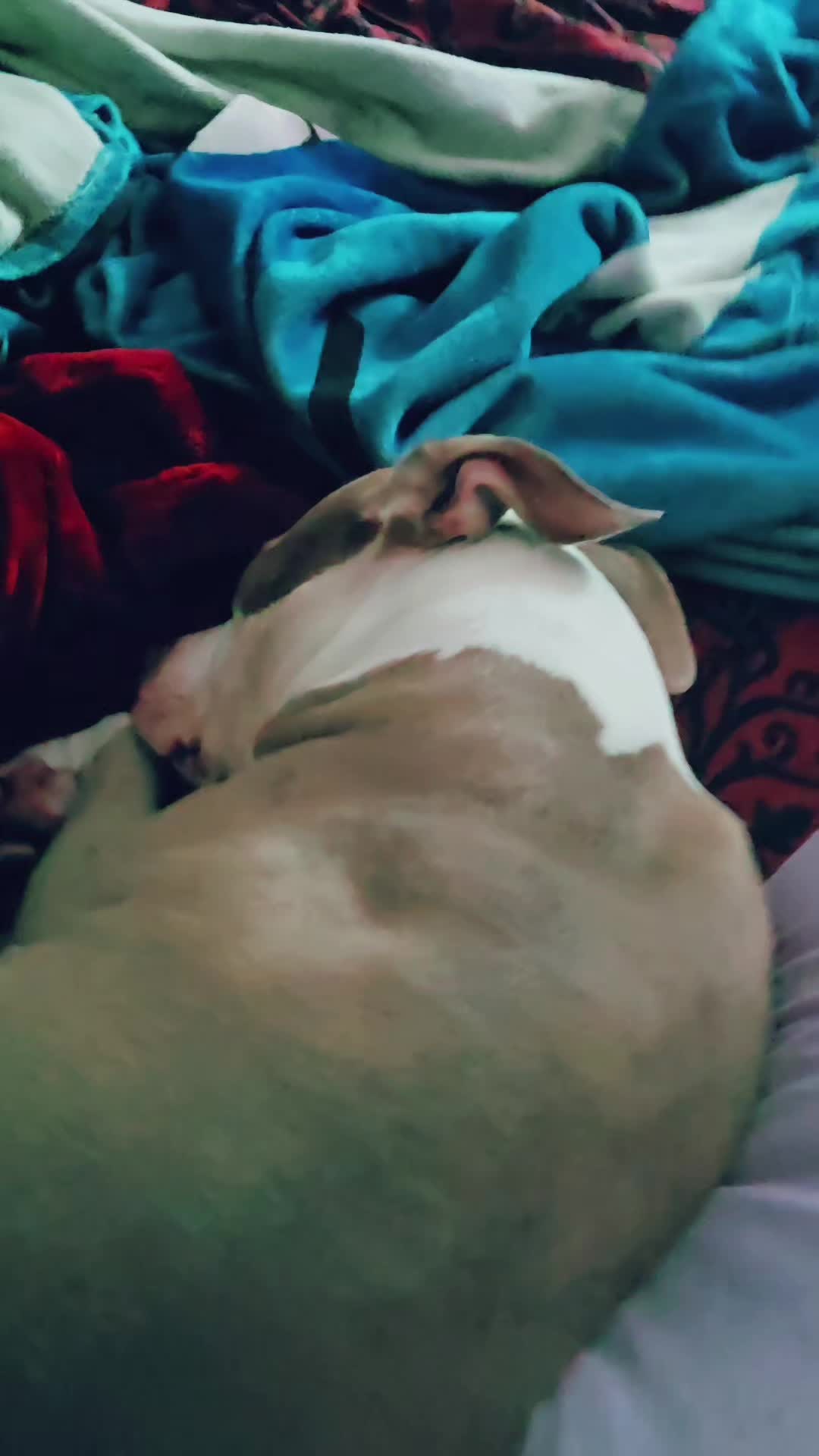@𝓐𝓵𝓶𝓪2𝓐𝔀𝓮𝓼𝓸𝓶𝓮