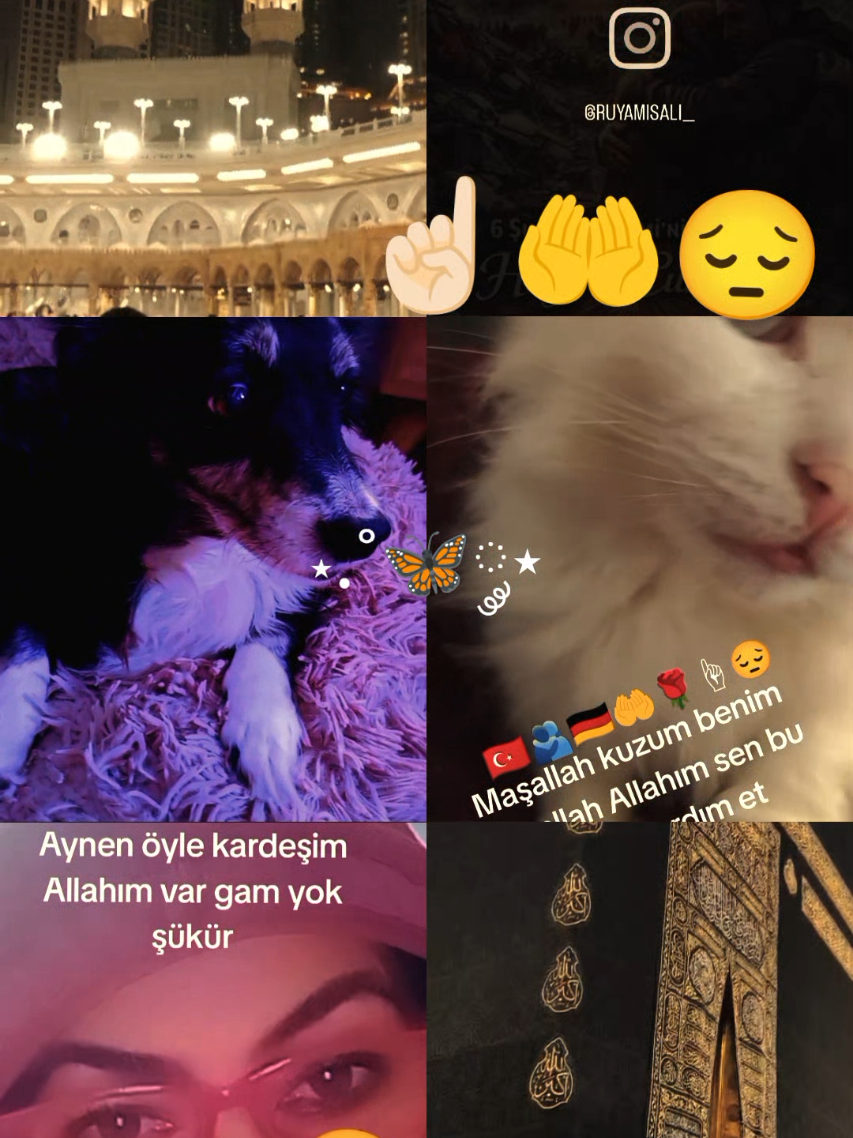@cennet