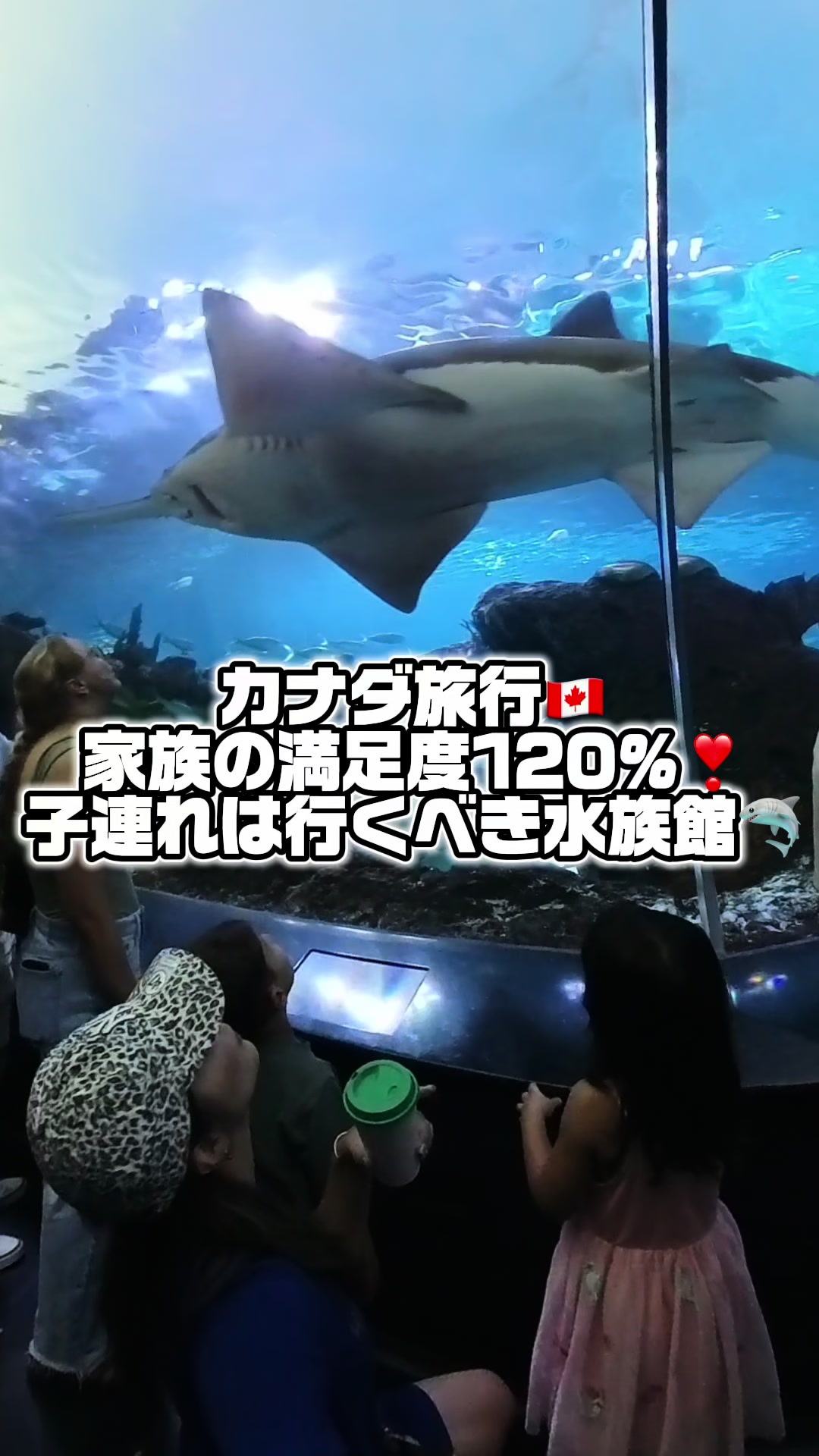 @Maria🇺🇸🇯🇵アメリカに住むポップな大阪人🐙