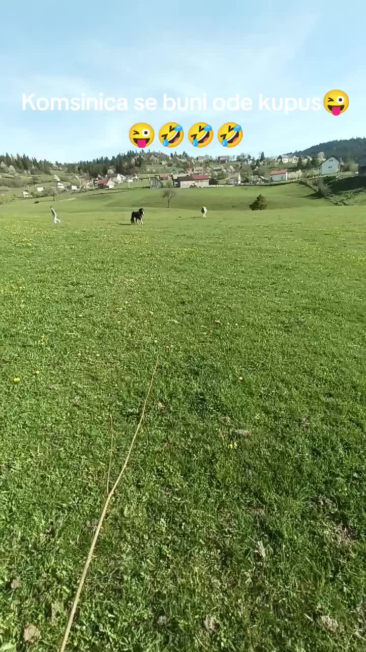 @Salko-Sokaća