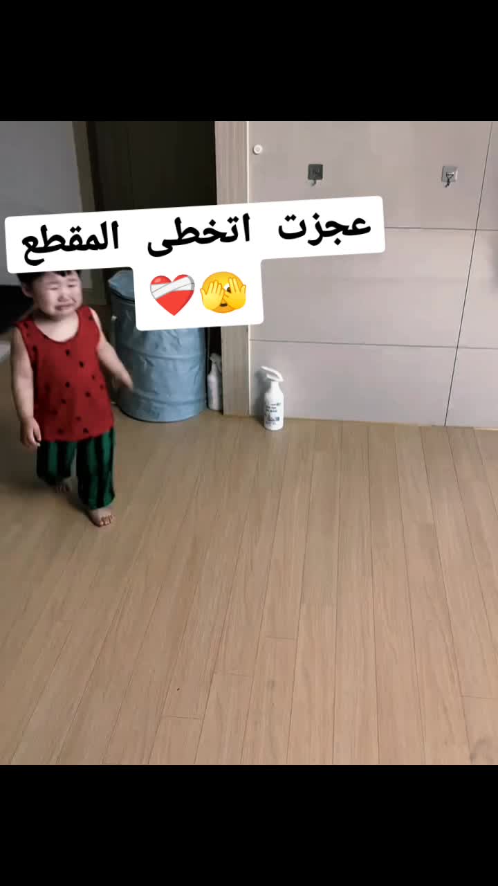 @hamzh