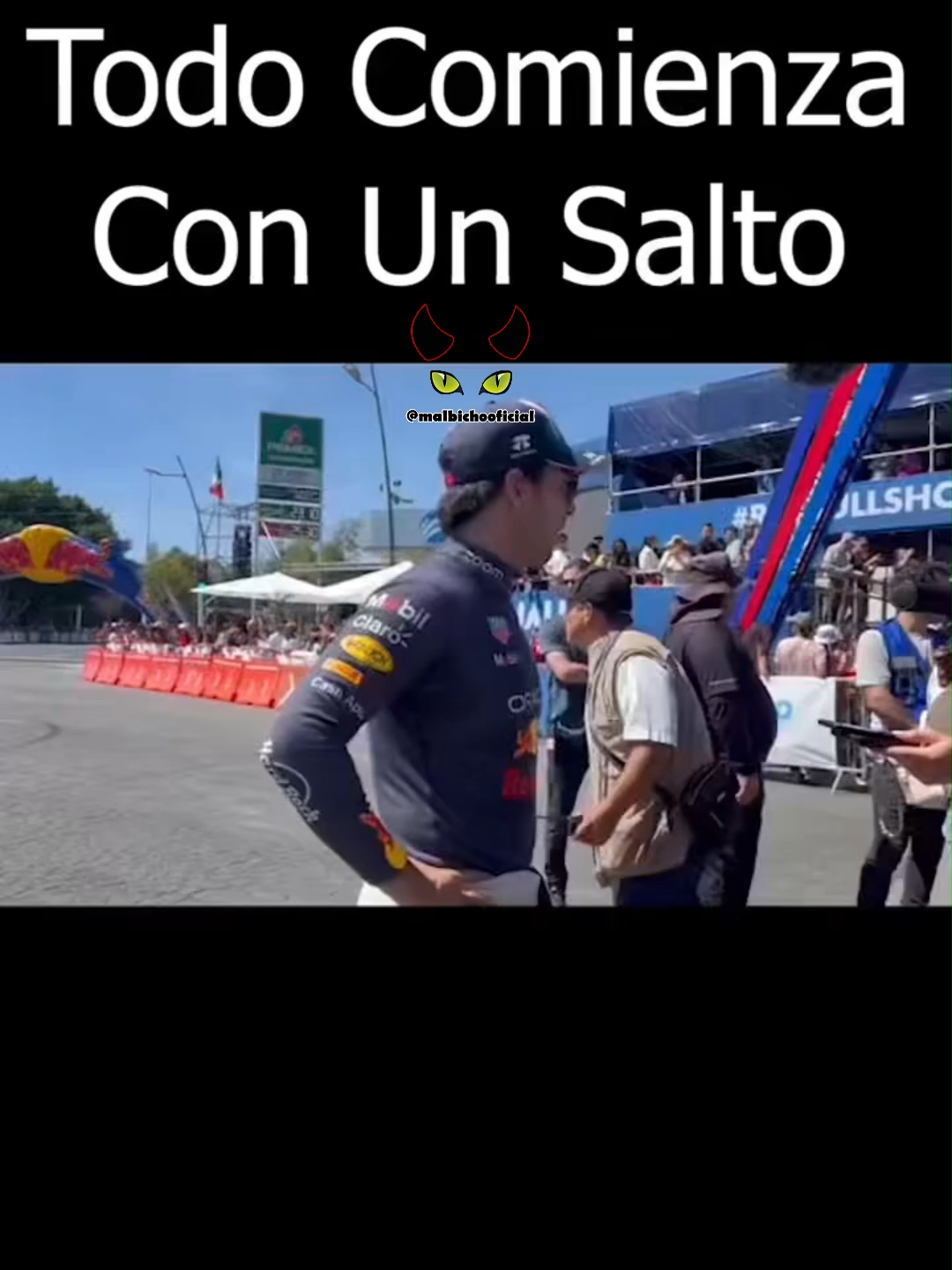@MalBichoOficial