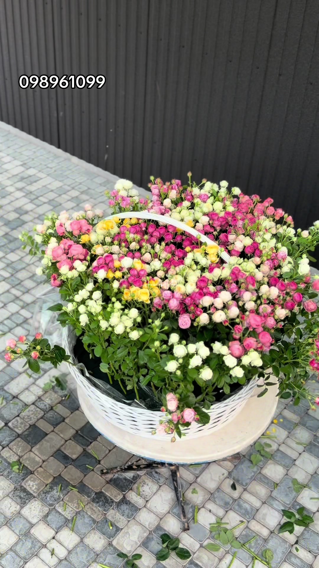 @Թարմ Վարդեր 🌹