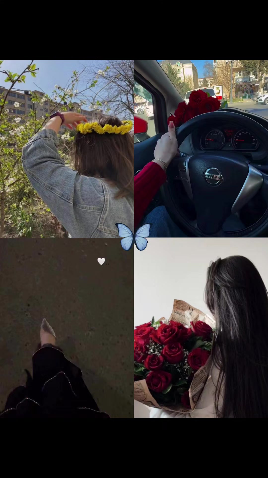 @𝒵𝒶𝒽𝓇𝒶💫✨