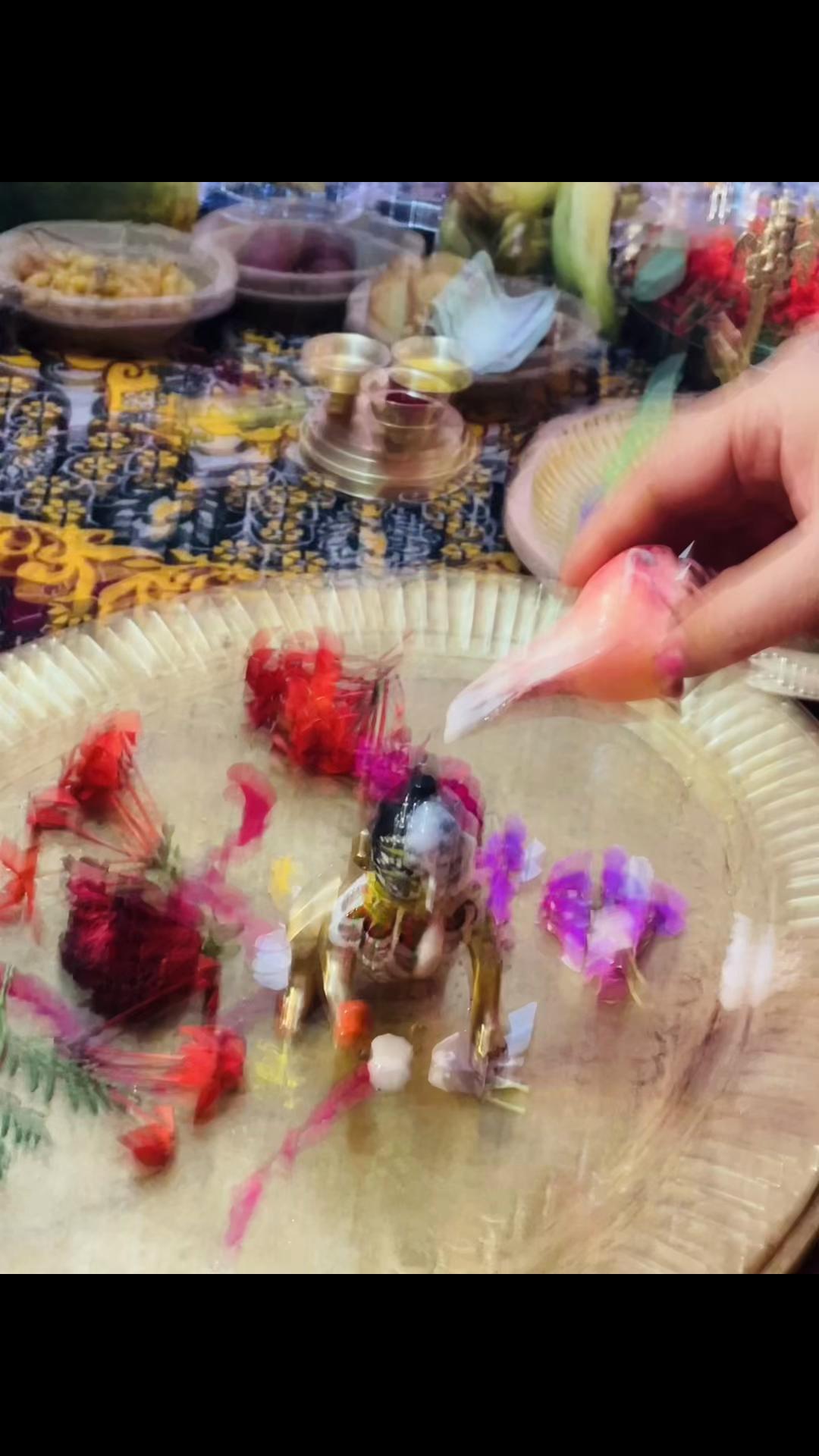 @Payal kasaudhan🌸