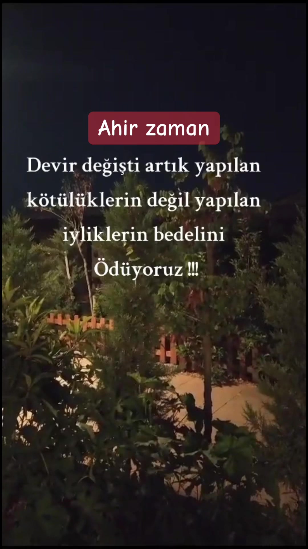 @papatyamm