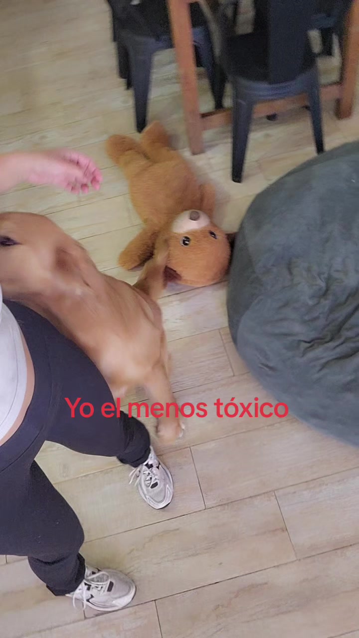 @Melina Guarascio