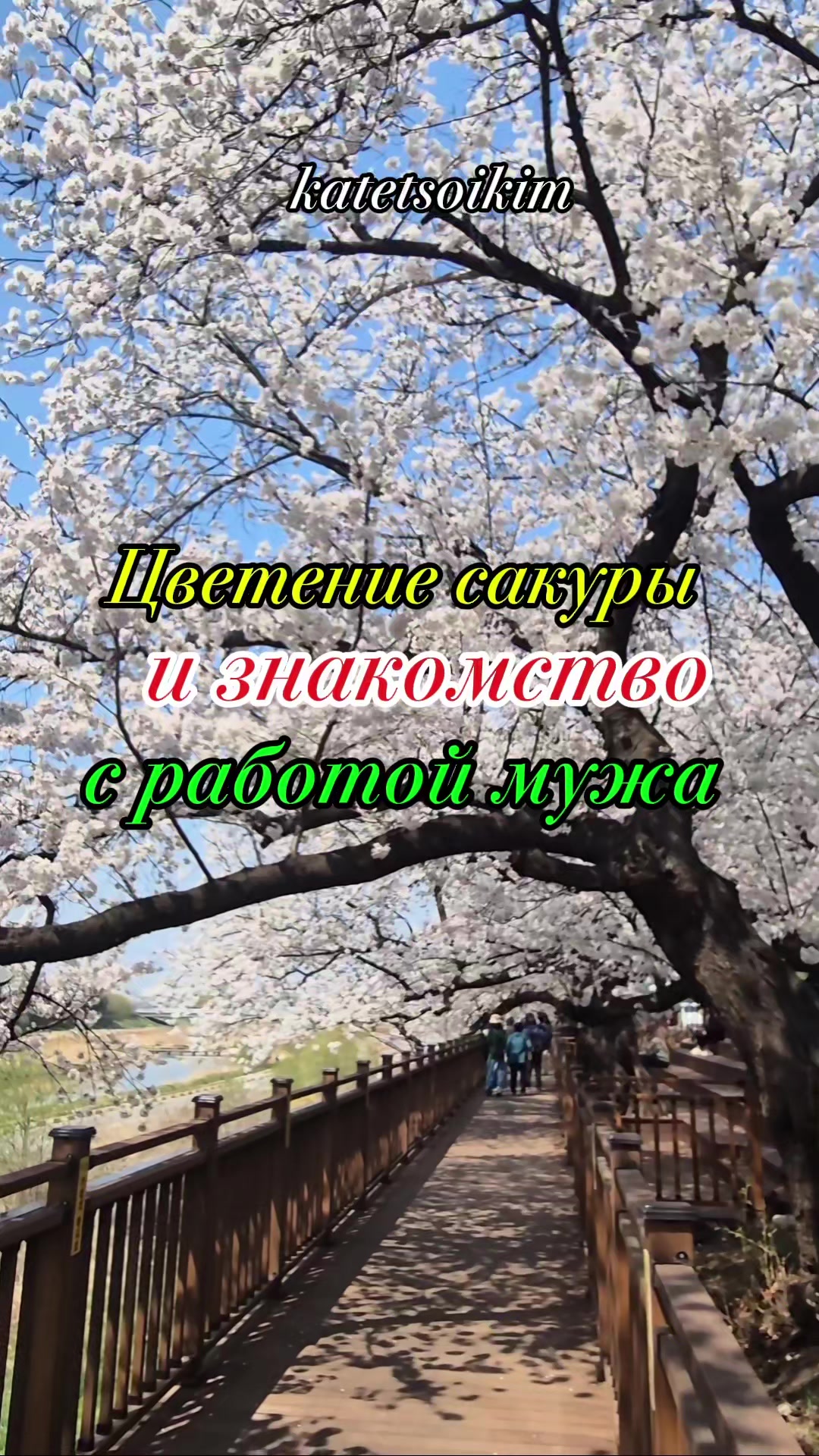 @katetsoikim