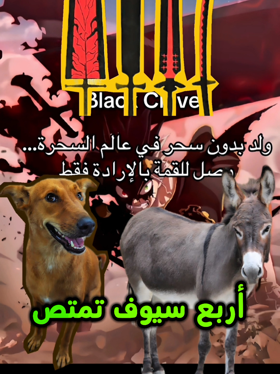 @أبو عبير