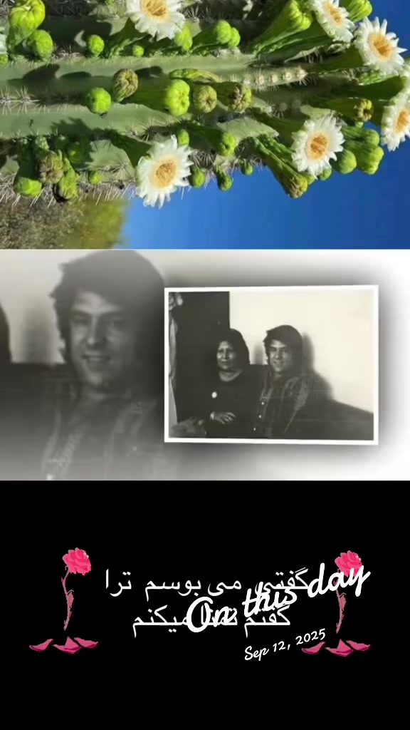 @Janjali7