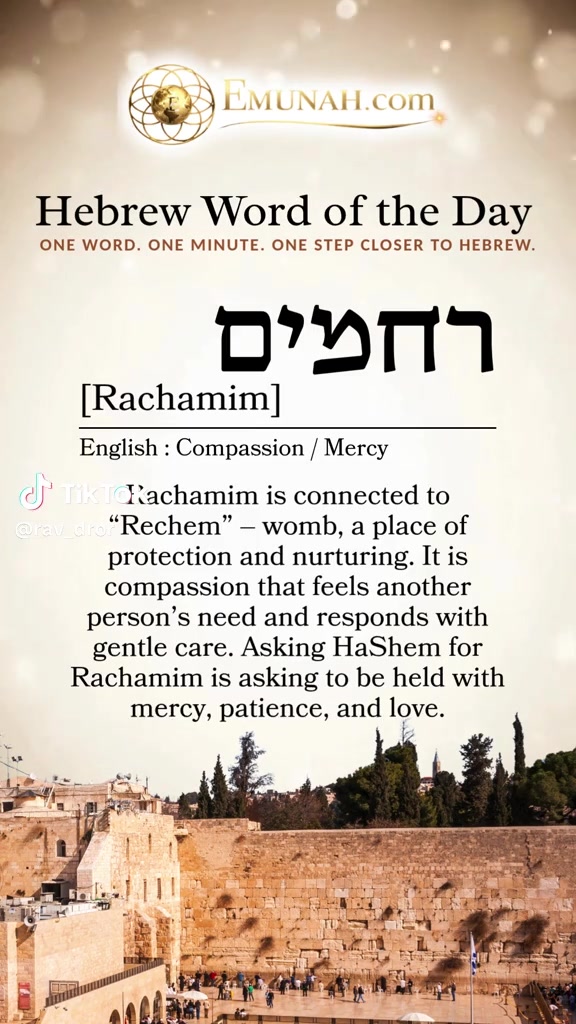 @Rav Dror