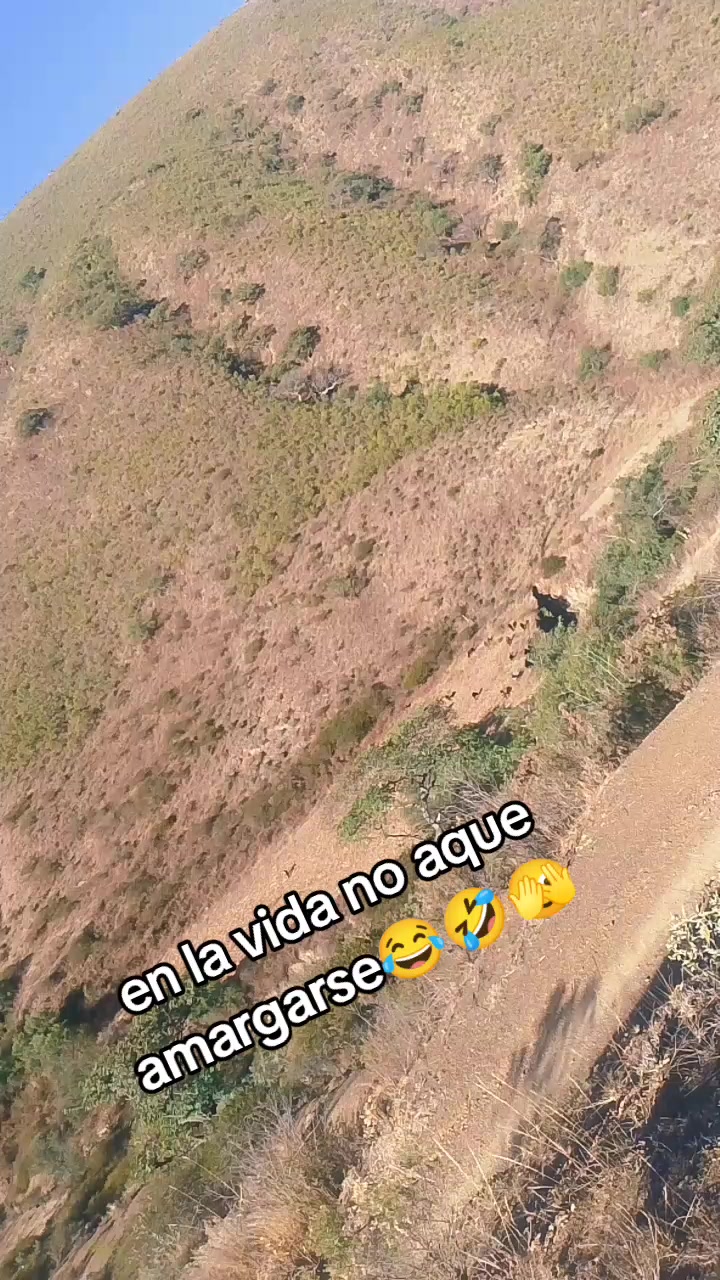 @🐄🌾MARTHA BARON🇧🇴