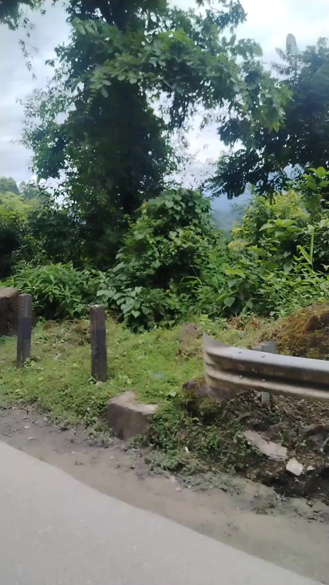 @D.B. Karki