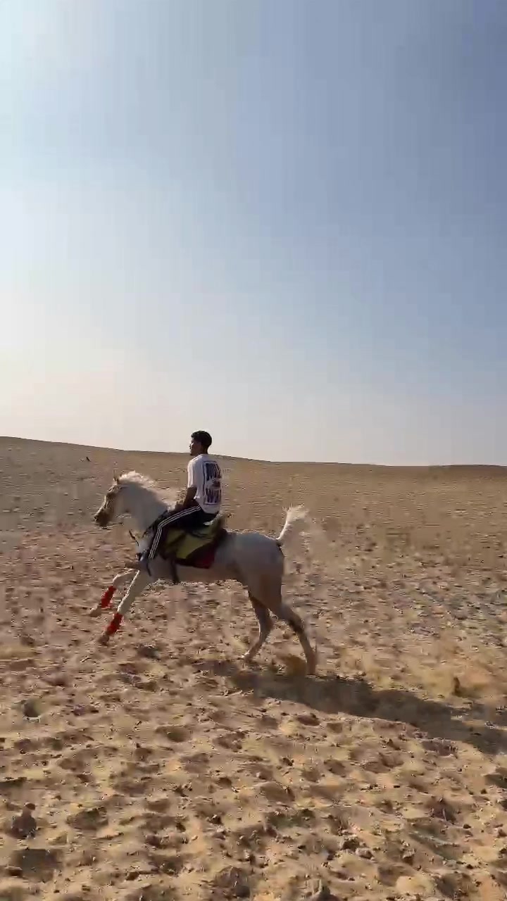 @ashoreldawly1๐