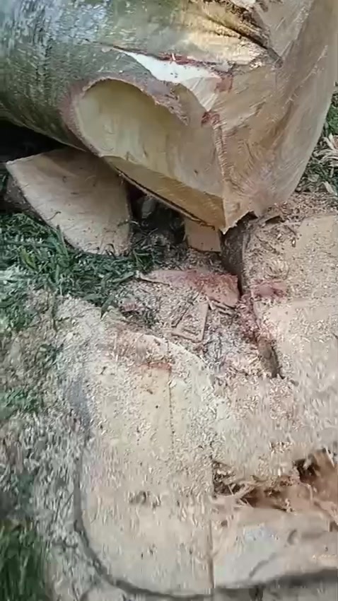 @nandriyanto0