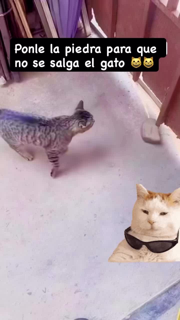 @𝕰𝖑_𝑮𝑼𝑬𝑹𝑹𝑬𝑹𝑶_🇲🇽👑✌