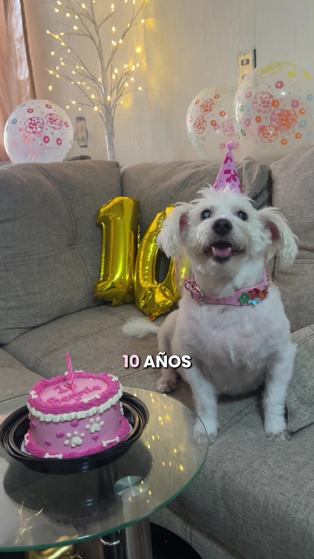@Liz Romero