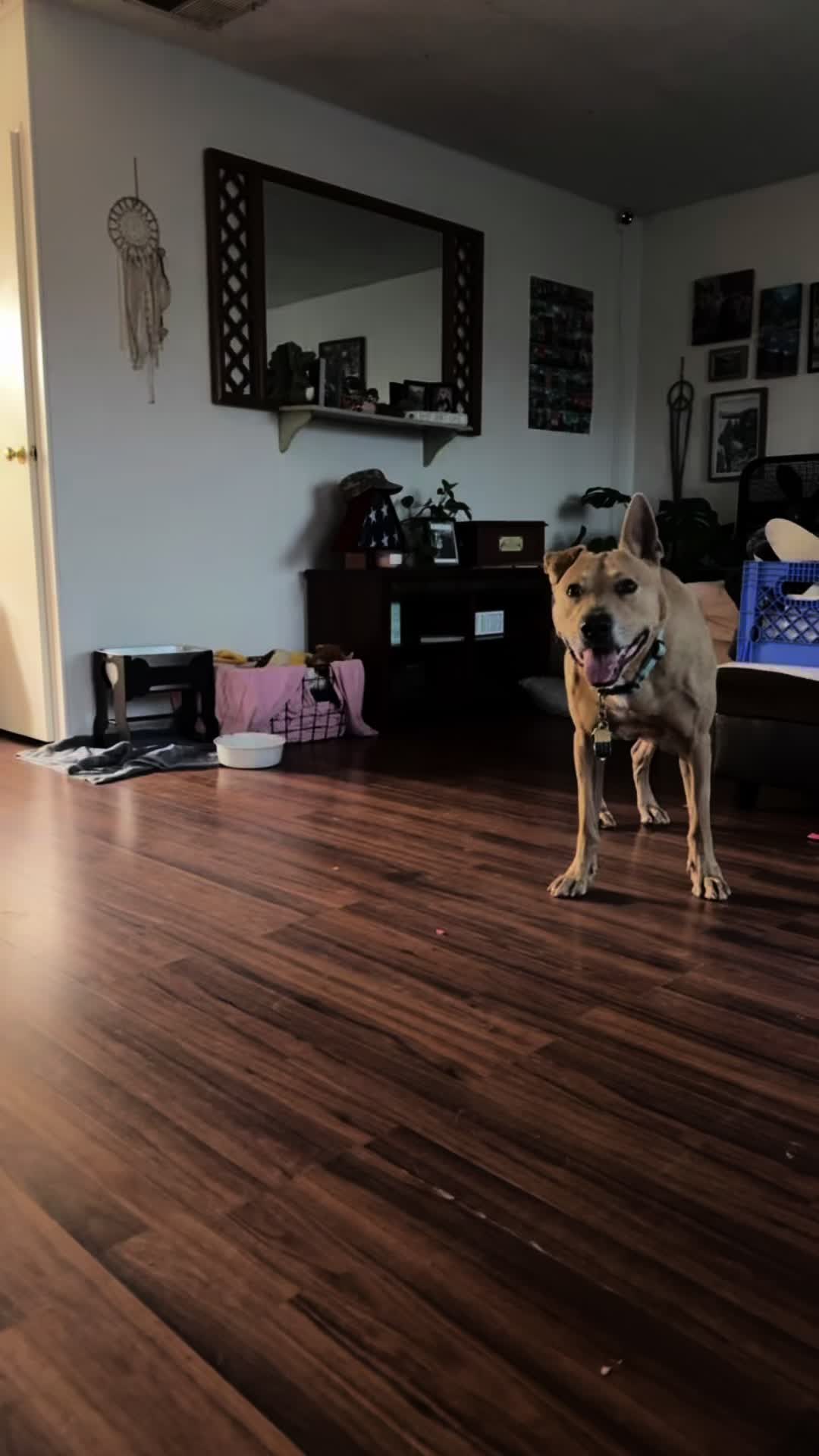 @Adventuresofmaxxandsandie