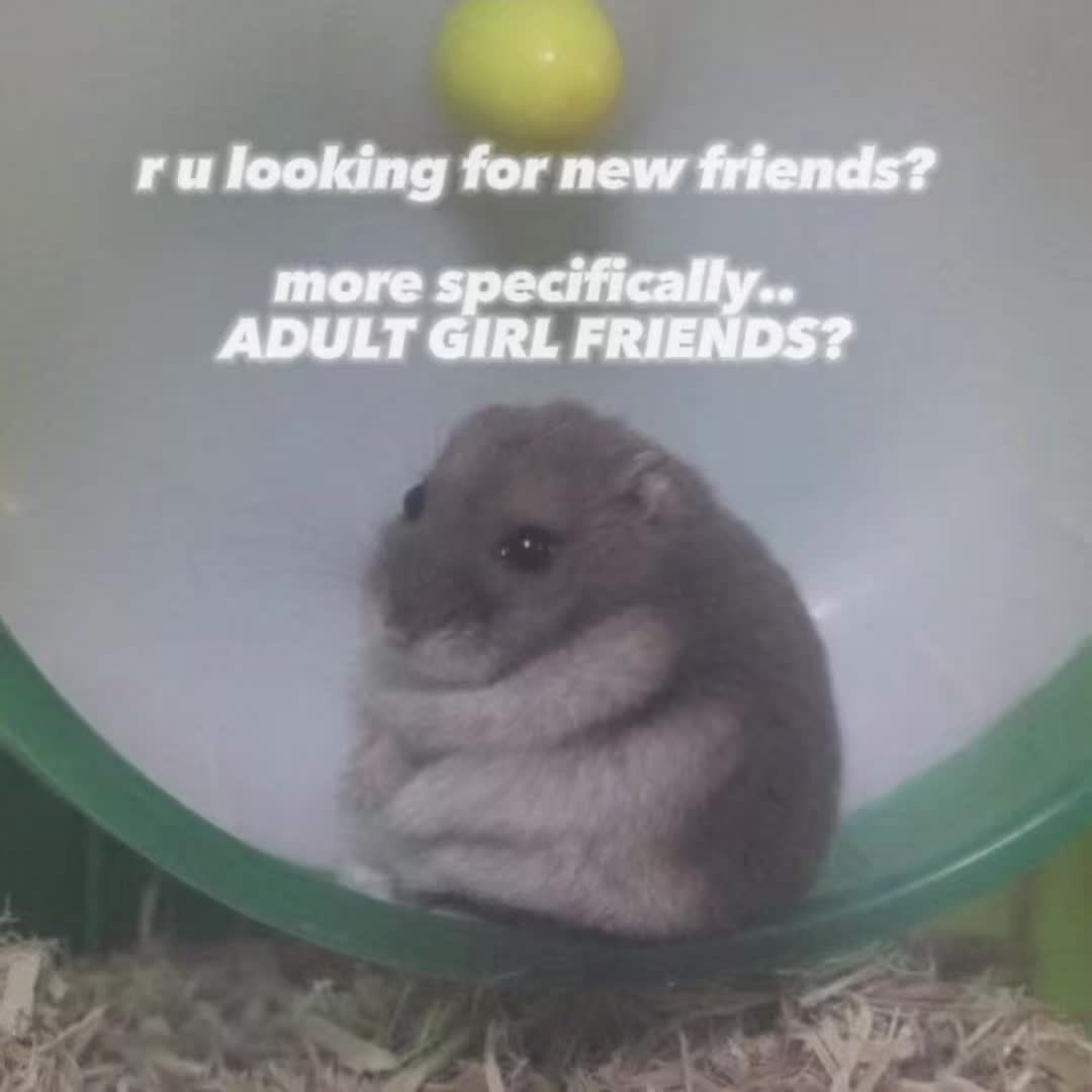 @bunny