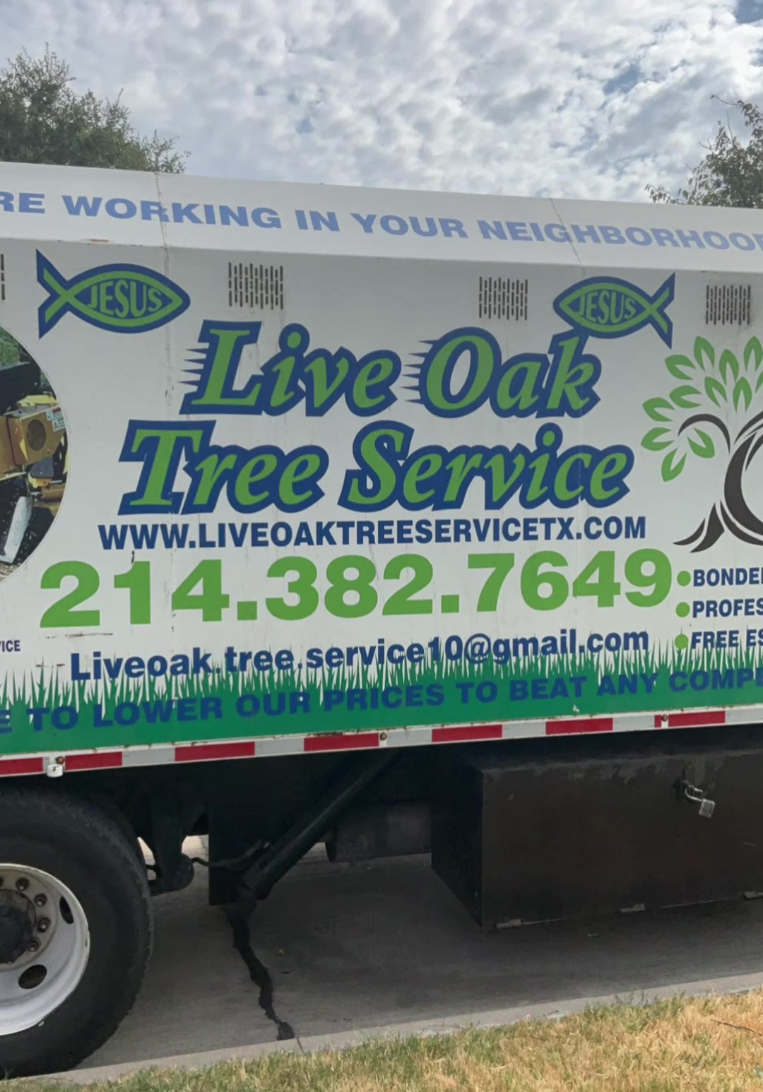 @Live Oak Tree Service