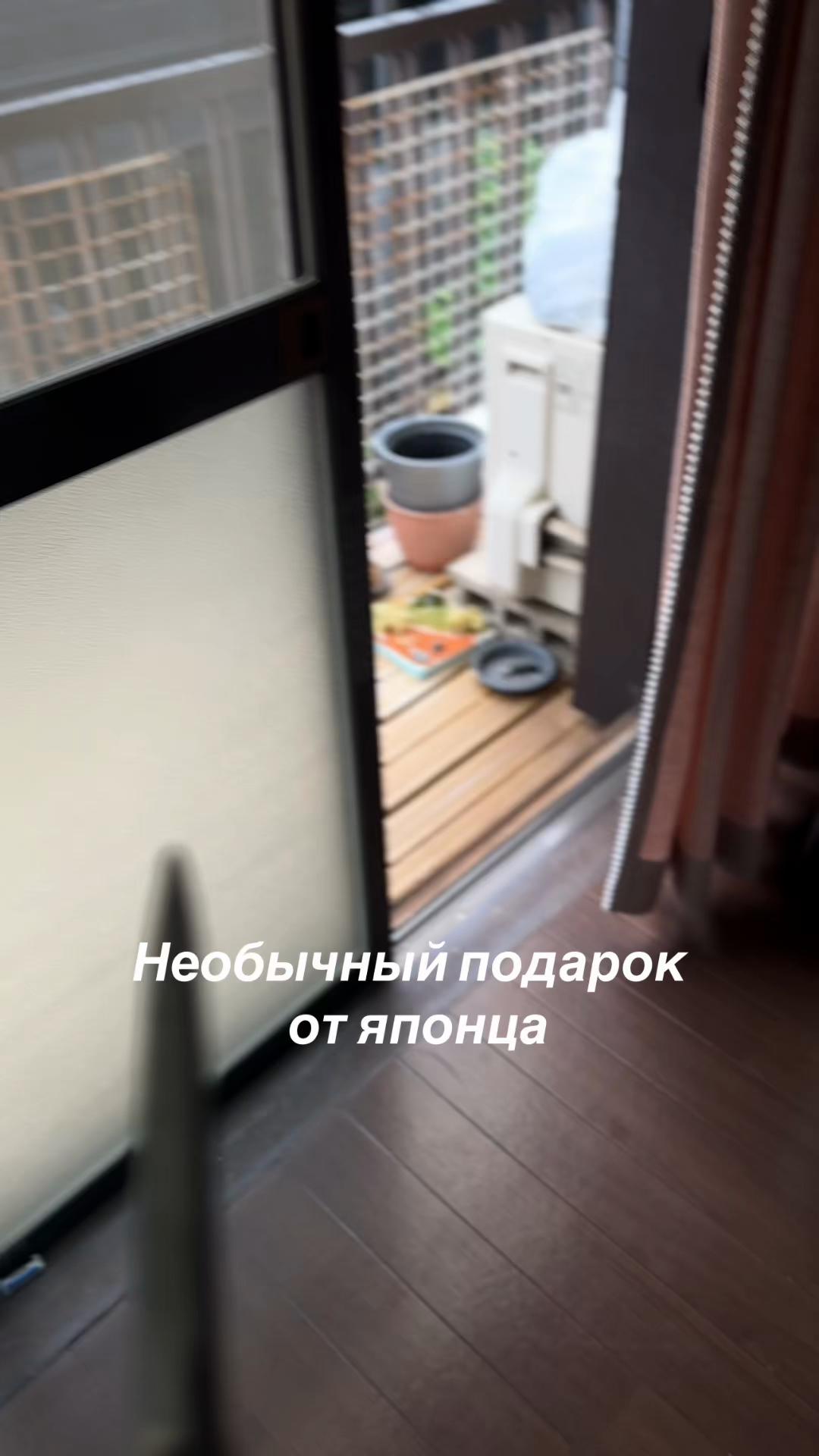 @magdazametki