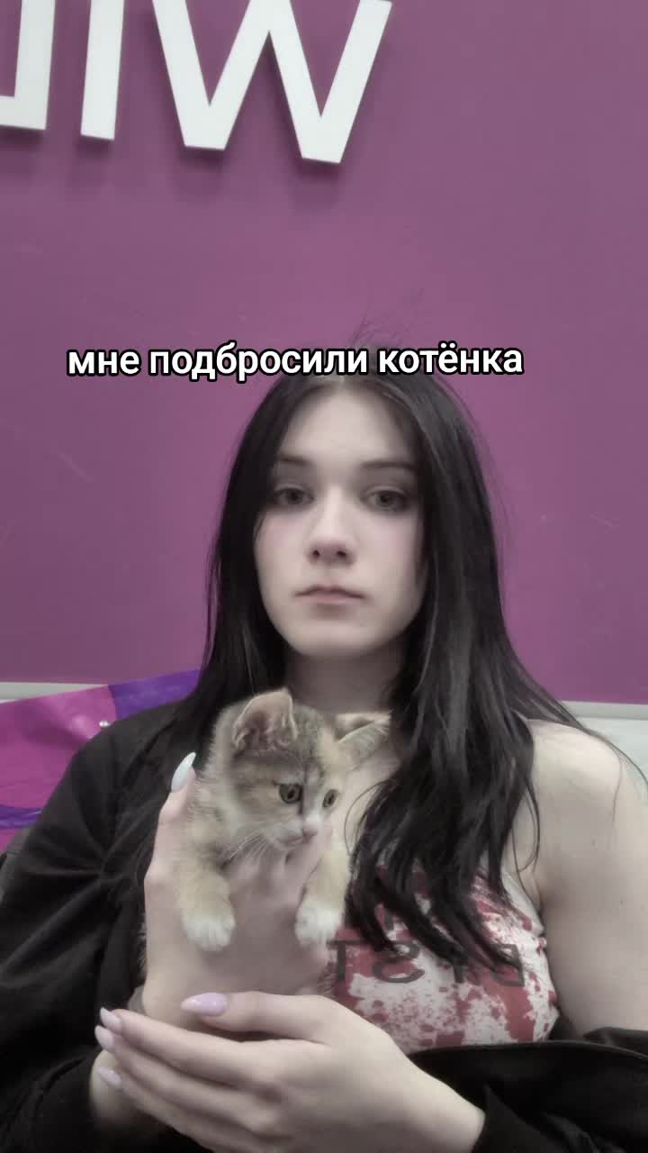 @Stupid