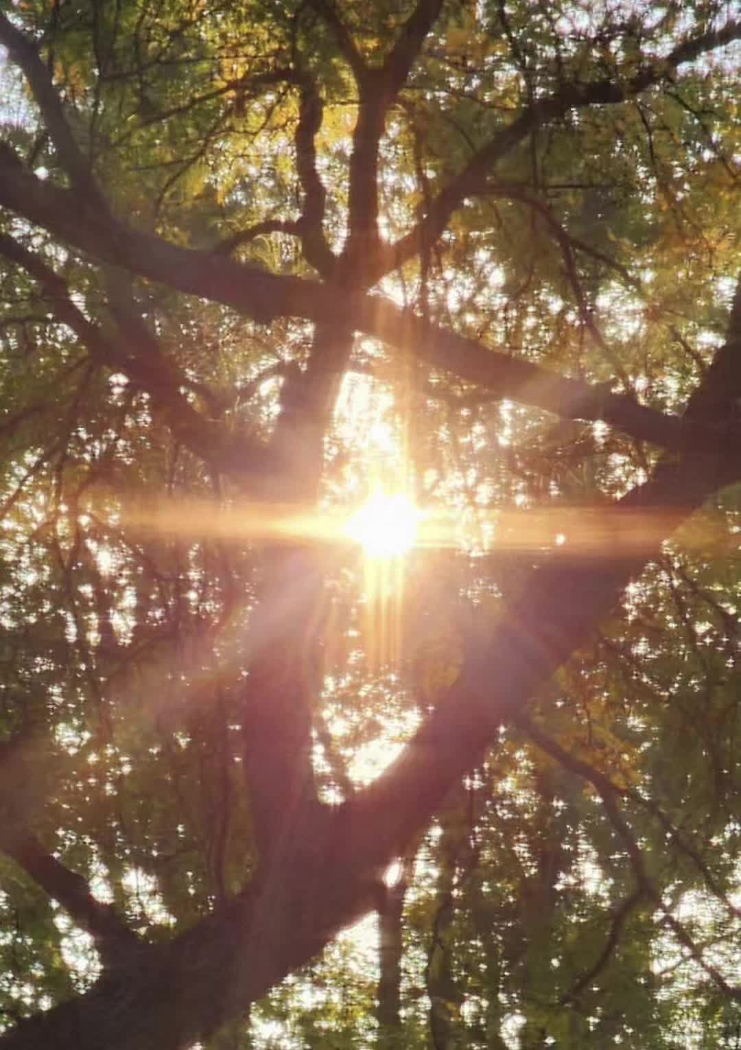 @𝓡