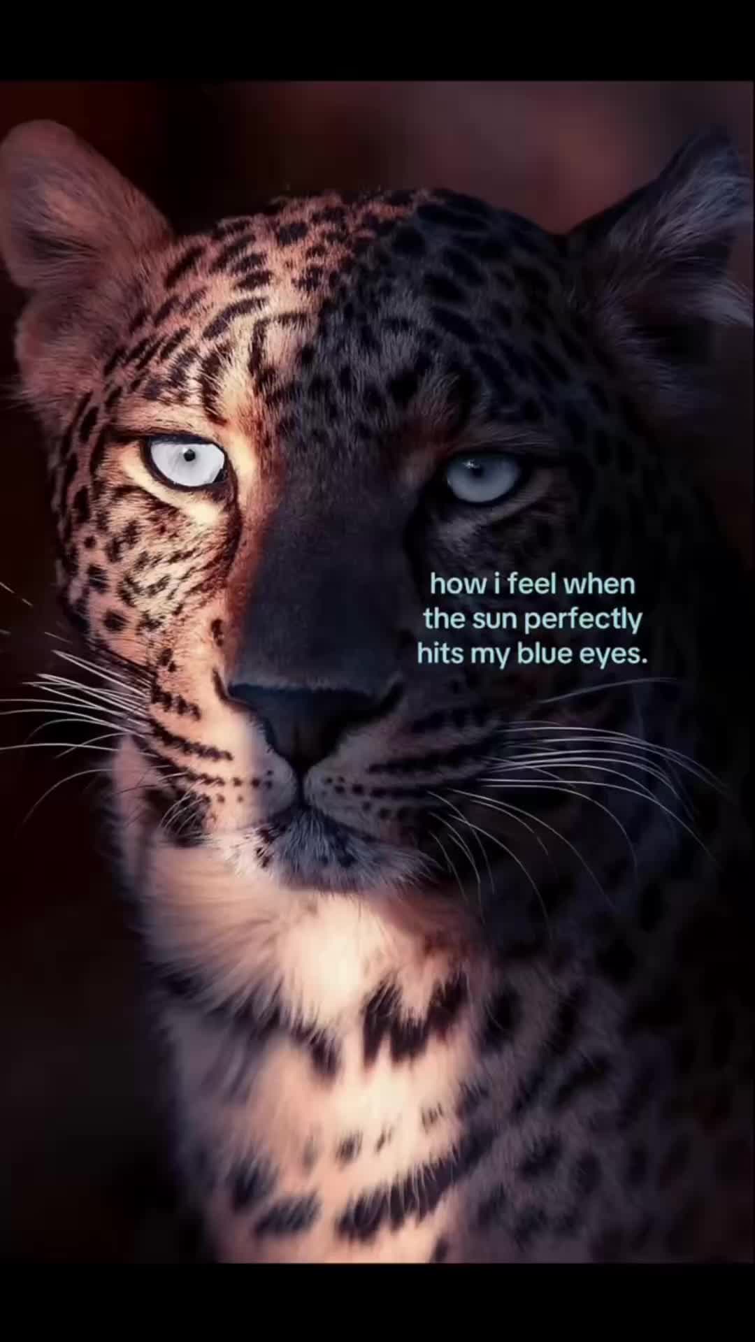 @#LoveOfYourLife💋