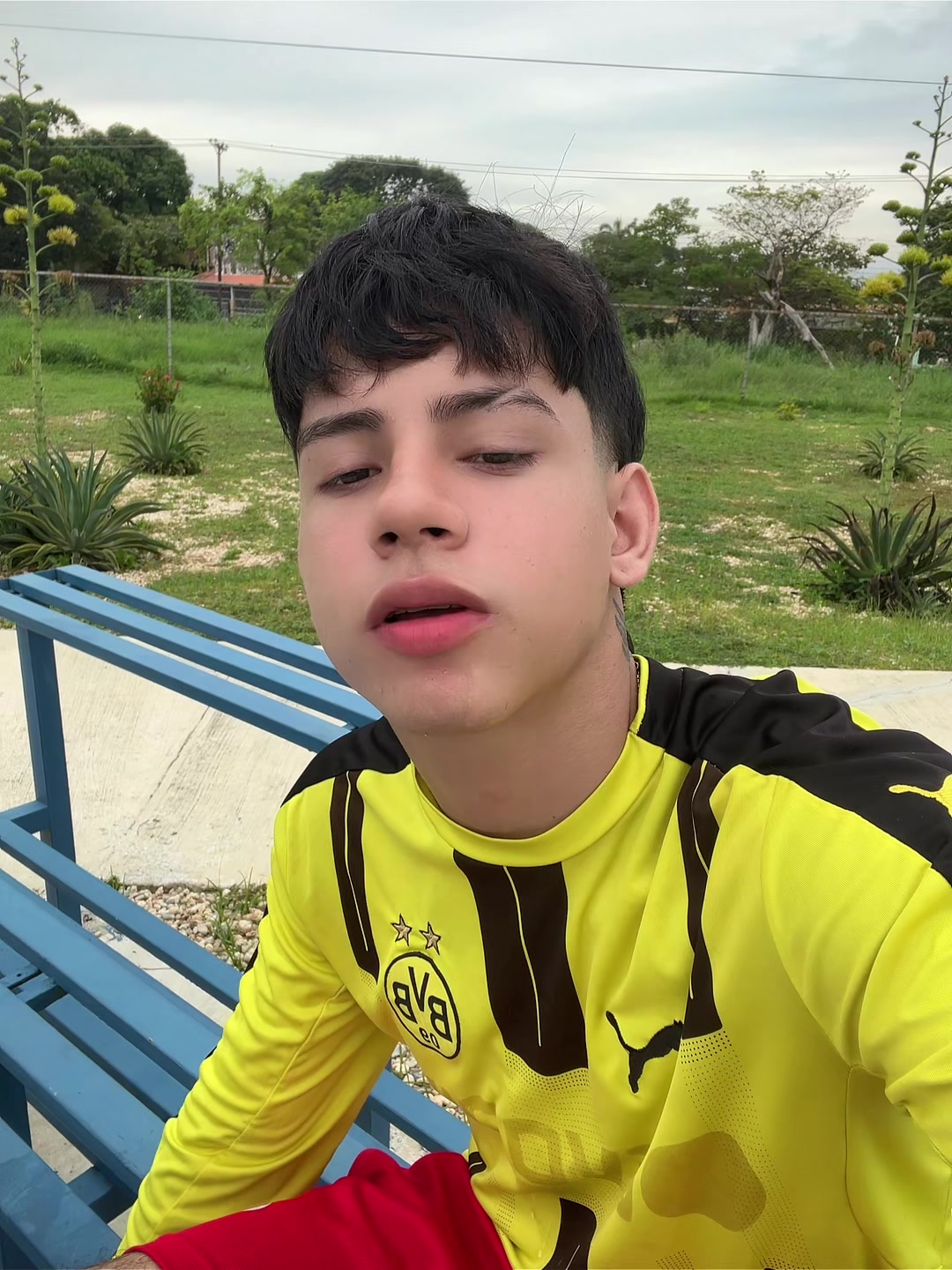@yeisonmartinez✅