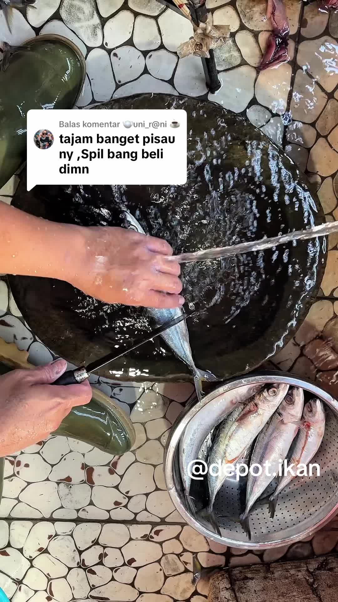 @Depot Ikan