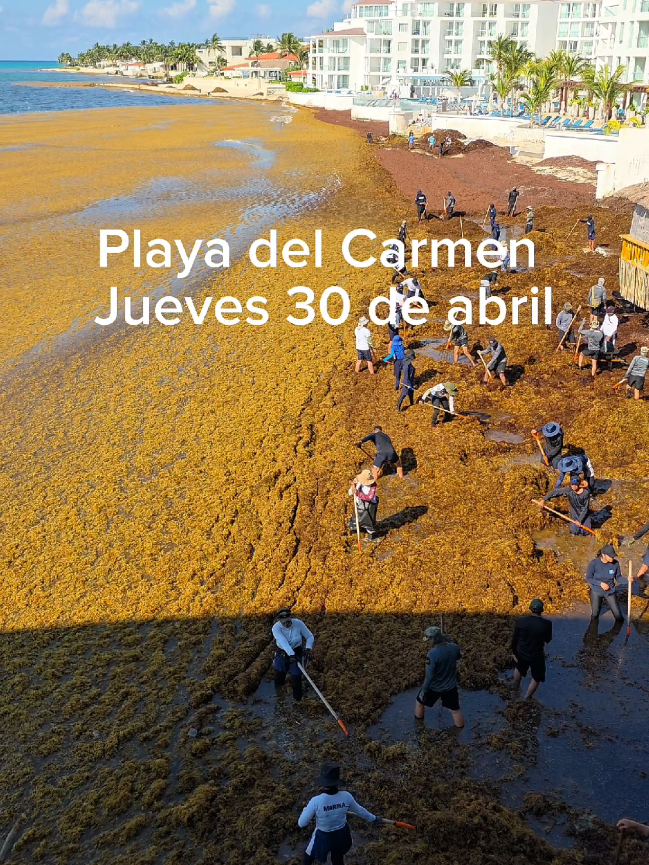 @Playa del Carmen México