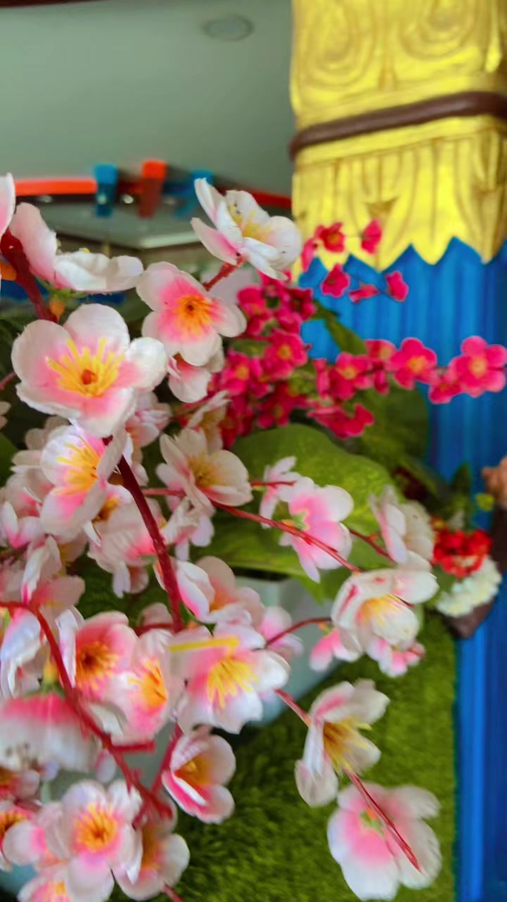 @Samjhana Chhetri