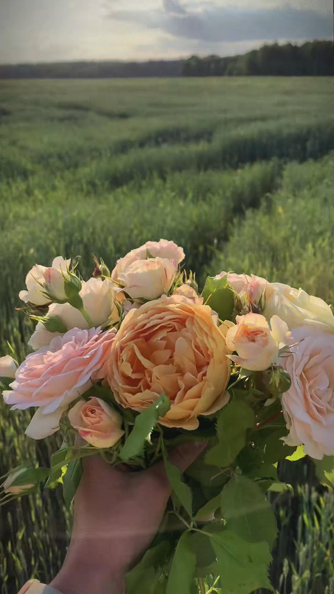 @𝓔𝓲𝓻𝓮𝓷