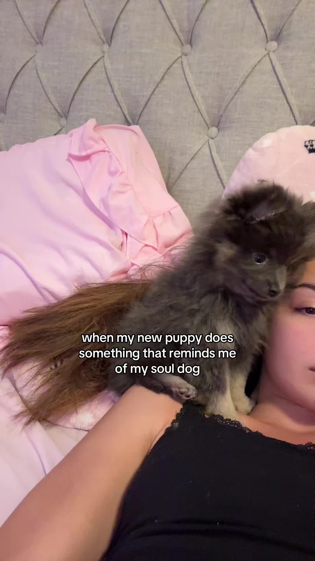 @sarahknapier