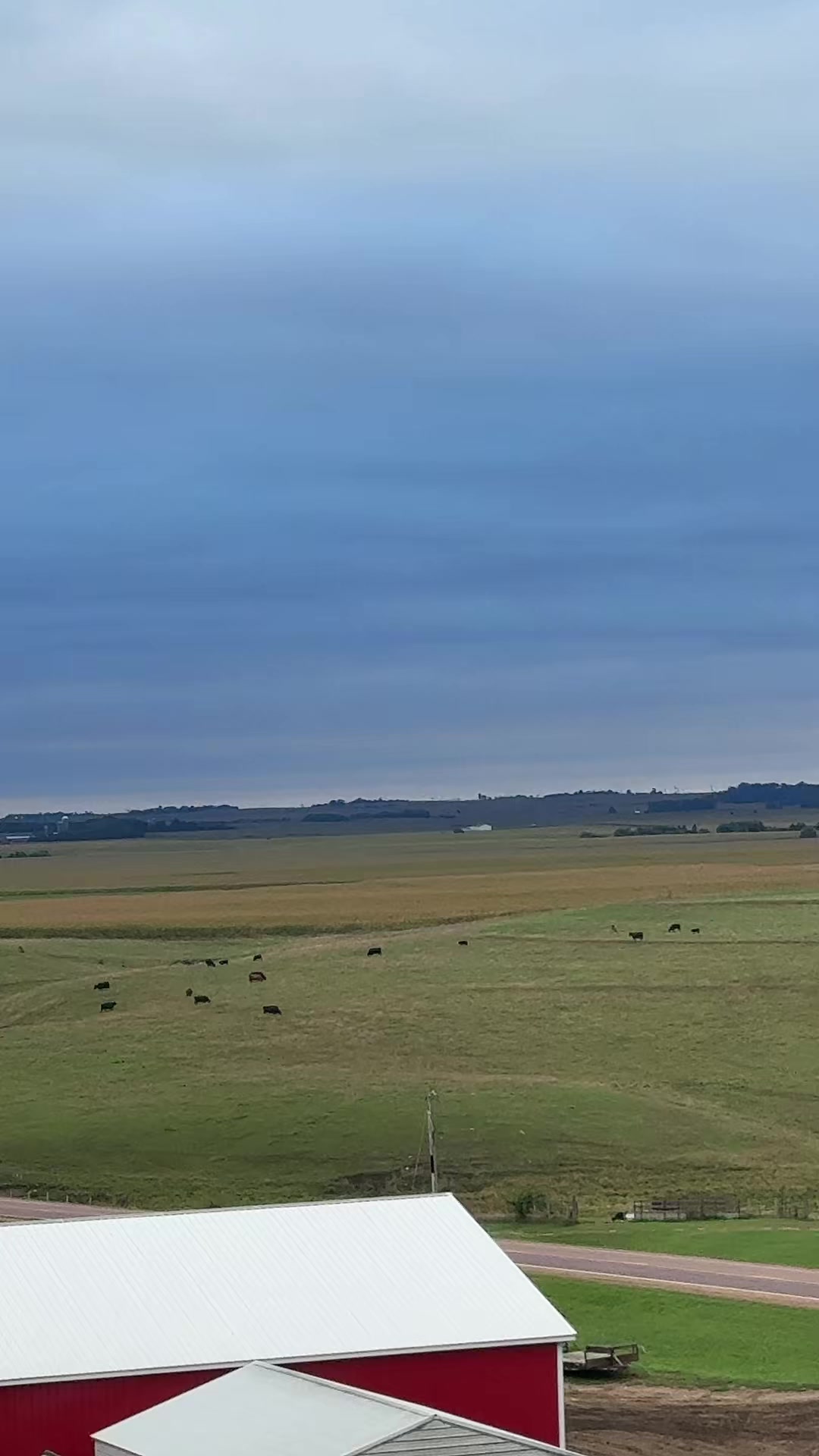 @Vos-Cattle-Co