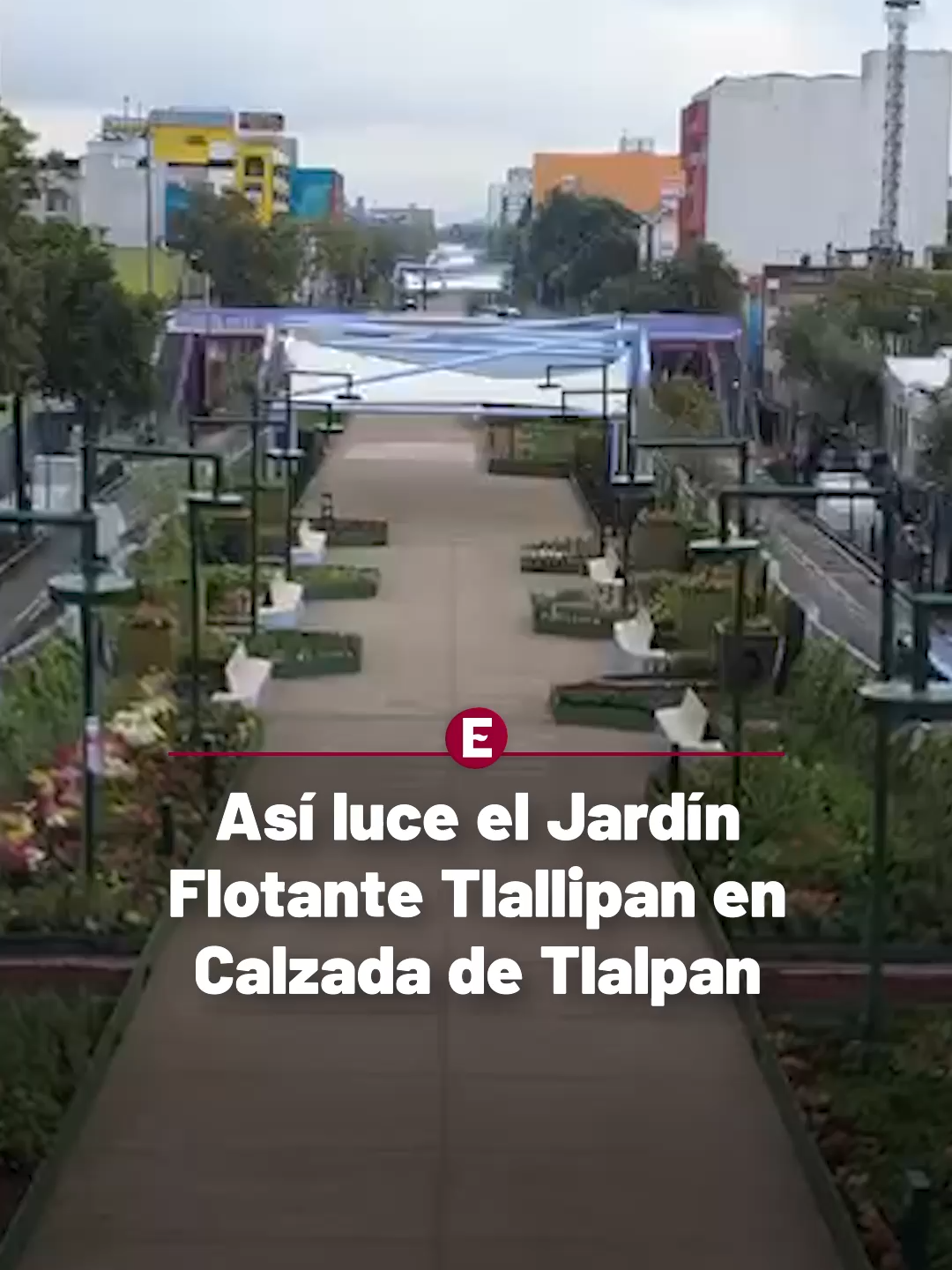 @Periódico Excélsior