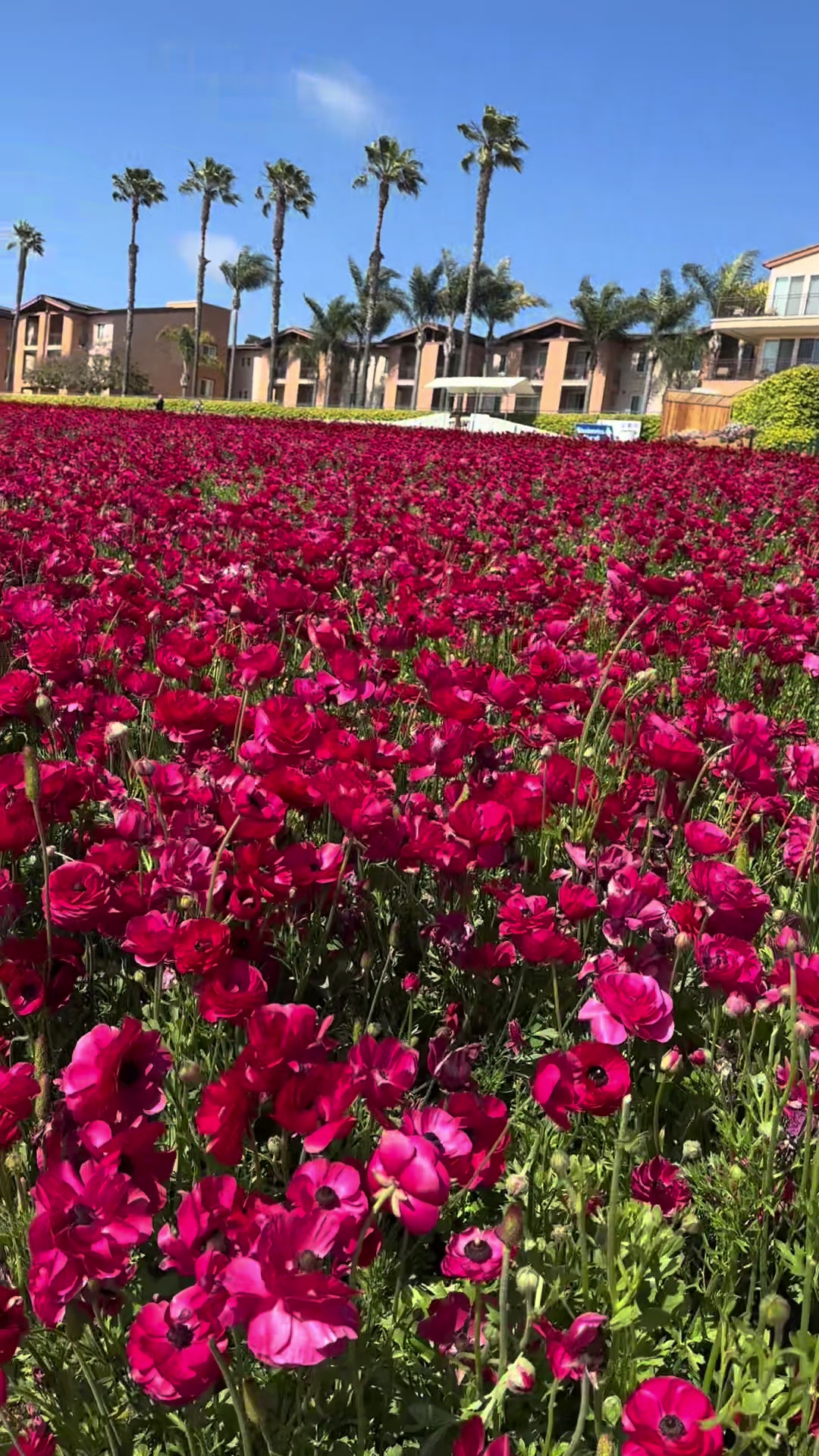 @نبی هیران🫶❤️🇦🇫