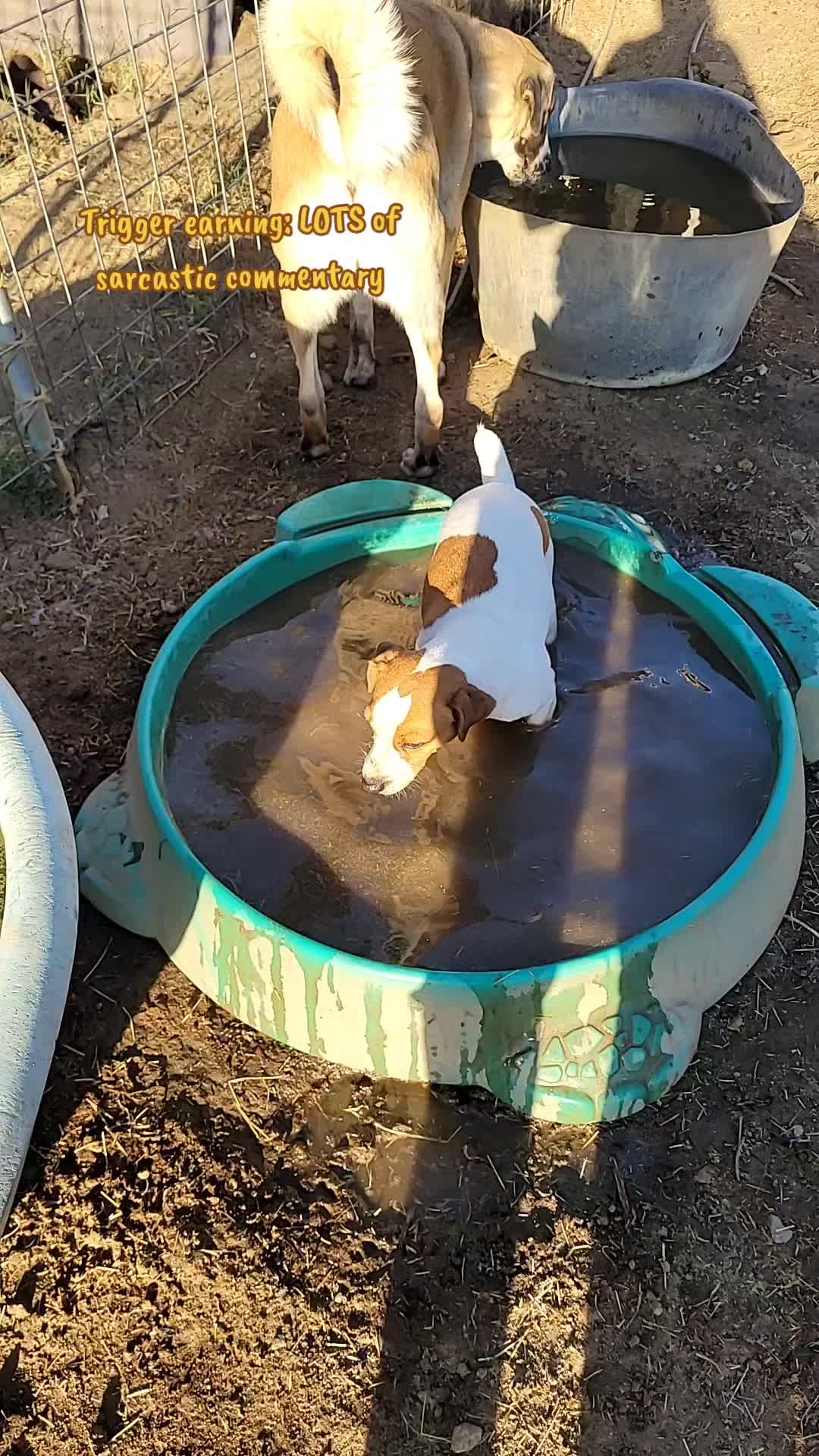 @VioletHorizonsFarm