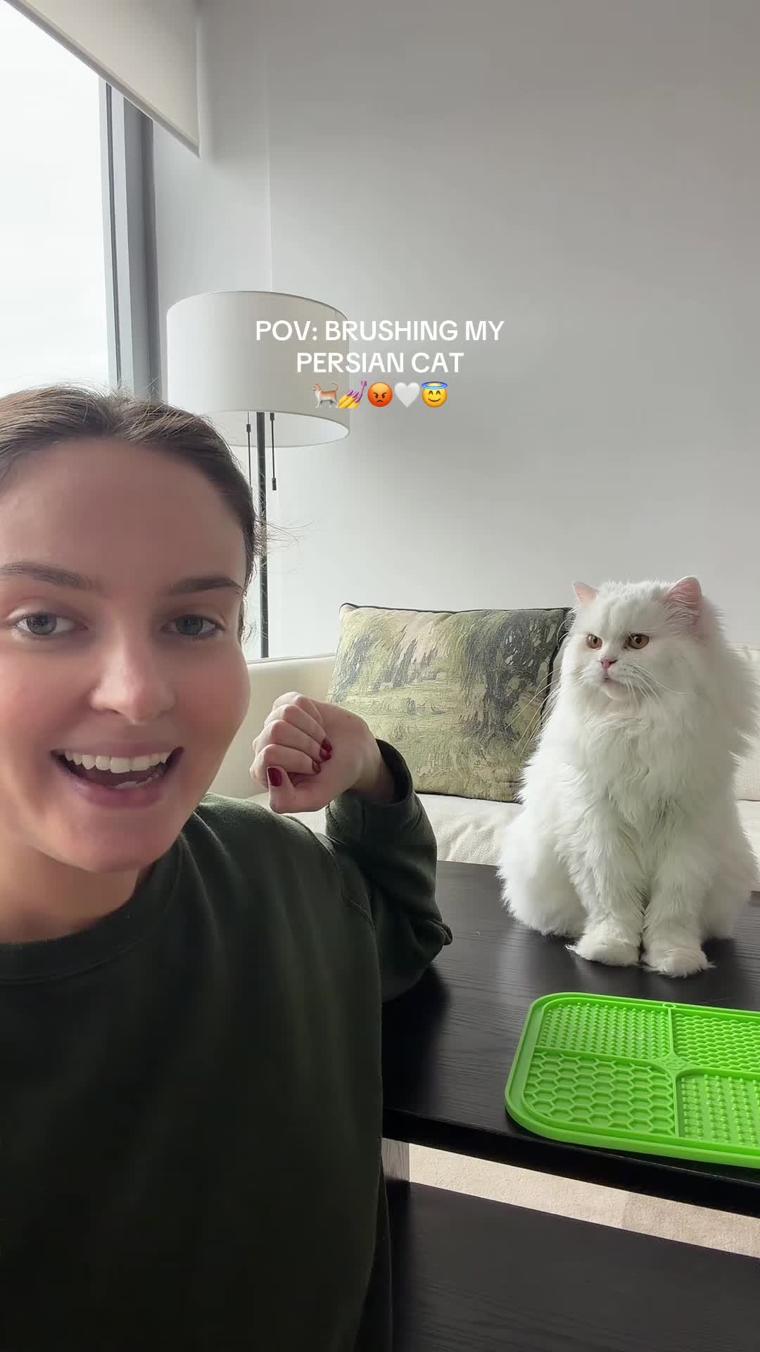 @Cleo the City Kitty