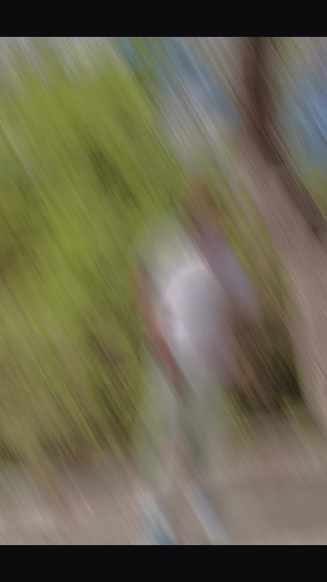@TRAPPASTOR/618