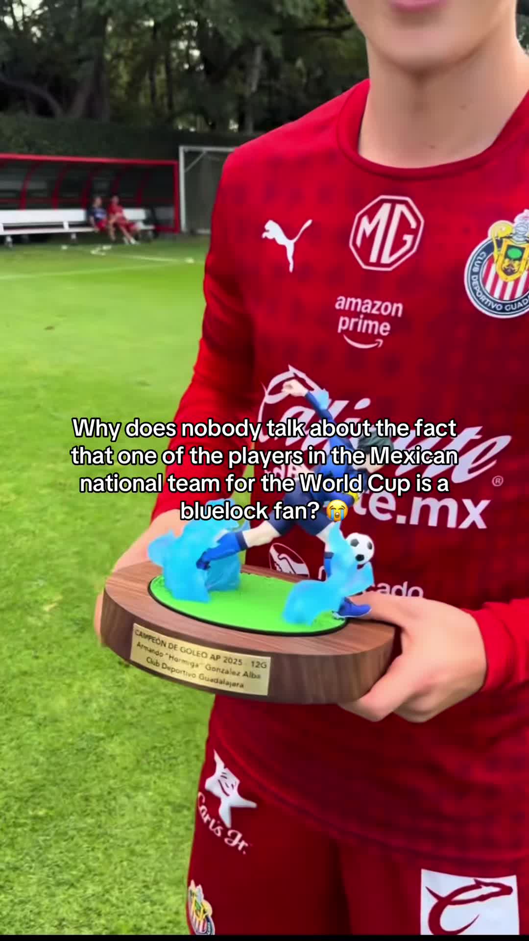 @yoito🦉🧩