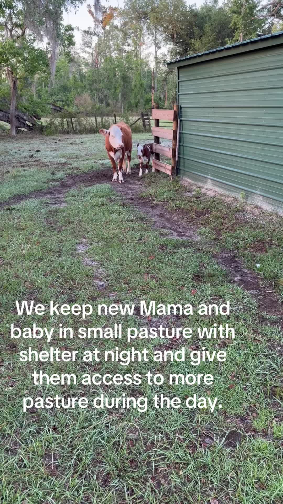 @Kelley Farms