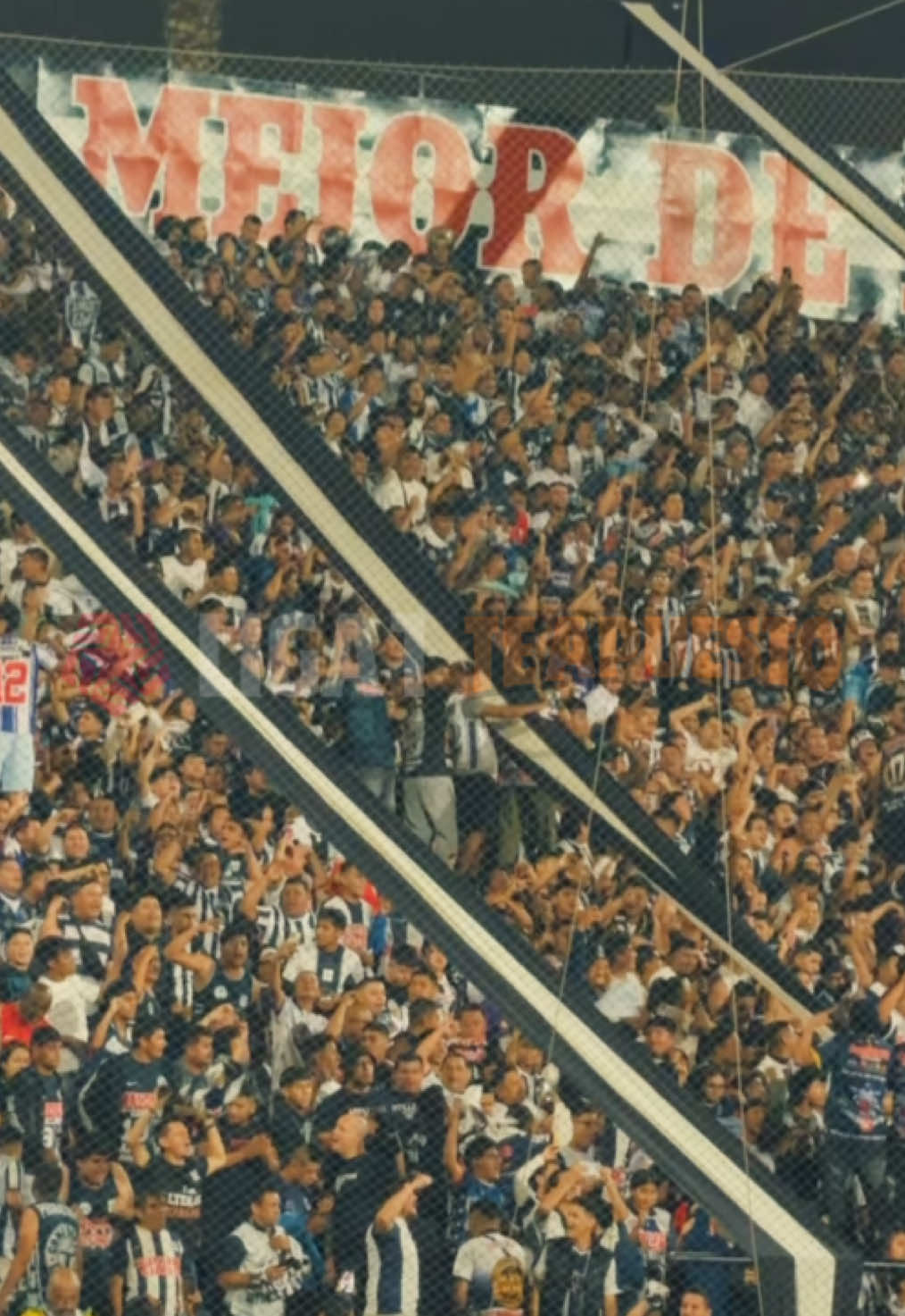 @Liga de F&uacute;tbol Profesional